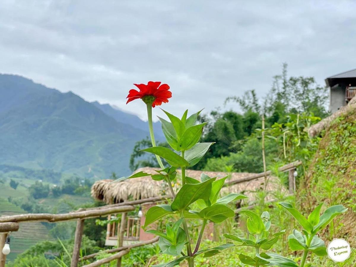 Chapa Farmstay - Mountain Retreat Sapa Bagian luar foto