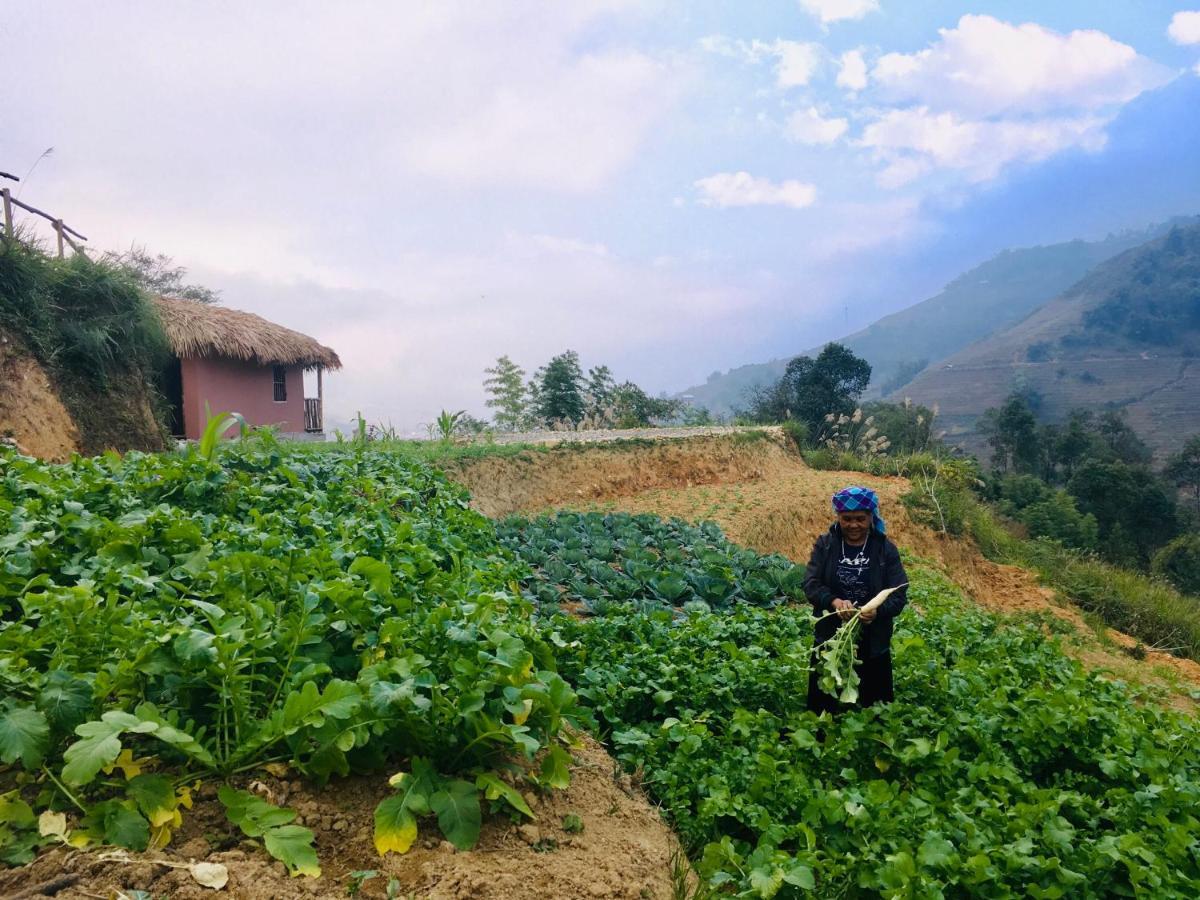 Chapa Farmstay - Mountain Retreat Sapa Bagian luar foto