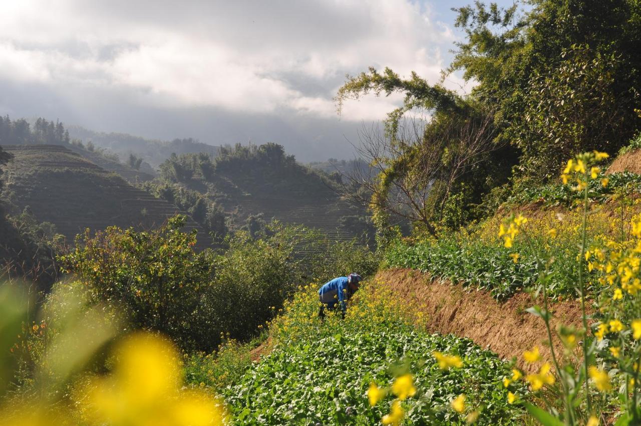 Chapa Farmstay - Mountain Retreat Sapa Bagian luar foto